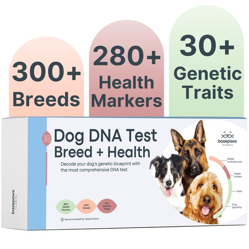 Basepaws Dog DNA Test Kit – 300+ Breeds, 280+ Genetic Health Risks, and 30+ Traits - 1 Pack - Comprehensive Dog DNA Test for Ancestry & Health Care