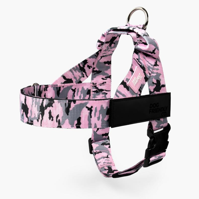 Dog Friendly Co. Harness - Easy to Fit No-Pull Design - Safe Secure and Comfortable - Ideal for Dogs of All Shapes and Sizes Leash