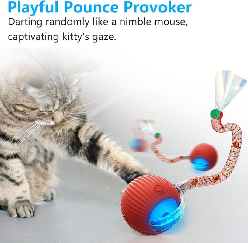 Golipal Cat&Dog Toy - Interactive USB Rechargeable Ball Toy on Rug with Bird Chirping, Anti-Depression Fun Gift for Cats & Dogs