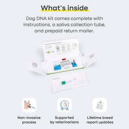 Basepaws Dog DNA Test Kit – 300+ Breeds, 280+ Genetic Health Risks, and 30+ Traits - 1 Pack - Comprehensive Dog DNA Test for Ancestry & Health Care