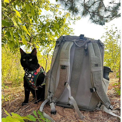 "The Navigator" Convertible Cat Backpack - for Adventurous Cats and Humans
