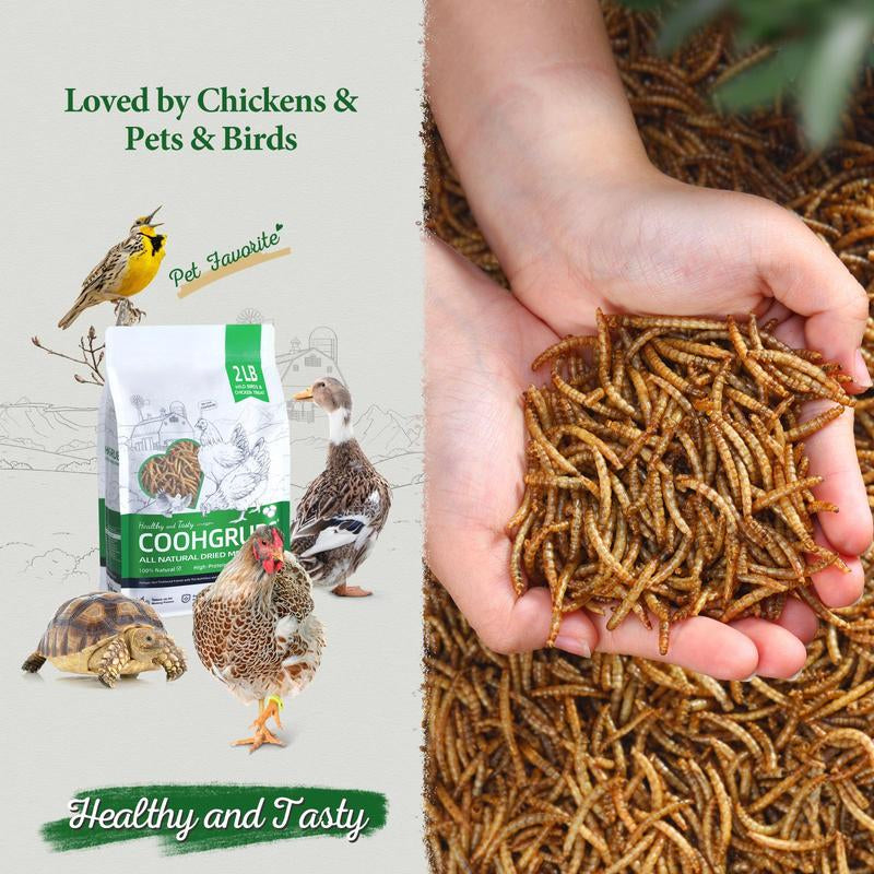 COOHGRUBS Dried Mealworms for Chickens - 100% Natural Premium Protein, Original Meal Worms Larvae for Laying Hen, Tasty Treats for Wild Birds Speeds up the Molting Process Pamper Your Feathered Friends