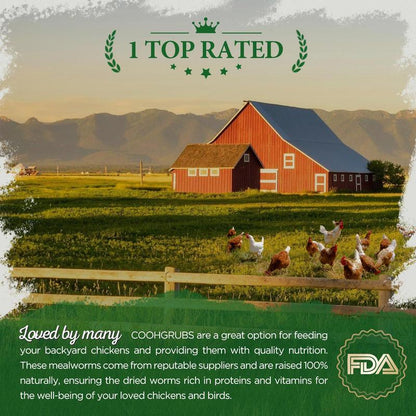 COOHGRUBS Dried Mealworms for Chickens - 100% Natural Premium Protein, Original Meal Worms Larvae for Laying Hen, Tasty Treats for Wild Birds Speeds up the Molting Process Pamper Your Feathered Friends