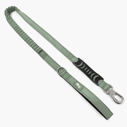 Dog Friendly Co. Bungee Dog Leash – Shock Absorbing, Reflective & Heavy Duty with Traffic Handle & Padded Grip Dog Leash