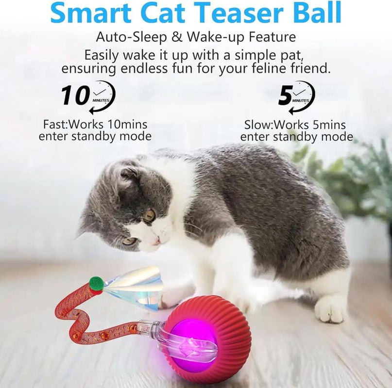 Golipal Cat&Dog Toy - Interactive USB Rechargeable Ball Toy on Rug with Bird Chirping, Anti-Depression Fun Gift for Cats & Dogs