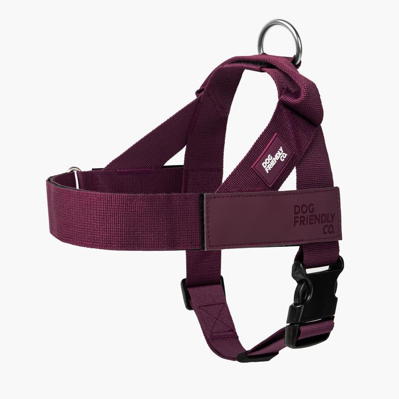 Dog Friendly Co. Harness - Easy to Fit No-Pull Design - Safe Secure and Comfortable - Ideal for Dogs of All Shapes and Sizes Leash