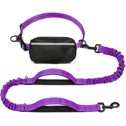 Iyoshop Hands Free Dog Leash with Zipper Pouch, Dual Padded Handles and Durable Bungee for Walking, Jogging and Running Your Dog