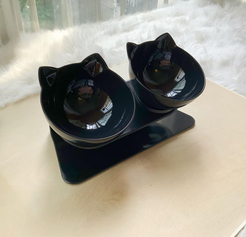 Elevated Cat Double Bowl Food Bowl for Pets