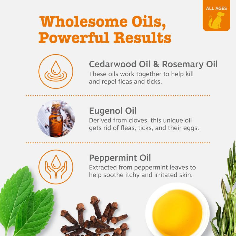 Zesty Paws Flea & Tick Veterinary Formulated Soothing Deodorizing Shampoo for Dogs, 16-Fl Oz Bottle